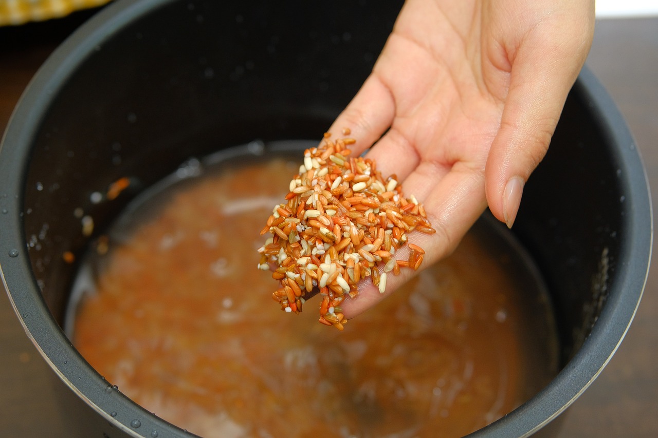 Recipe Of Brown Rice In Rice Cooker Aroma