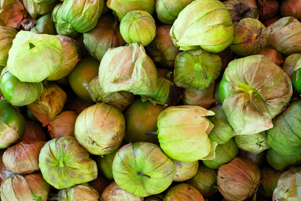 how to cook with tomatillos