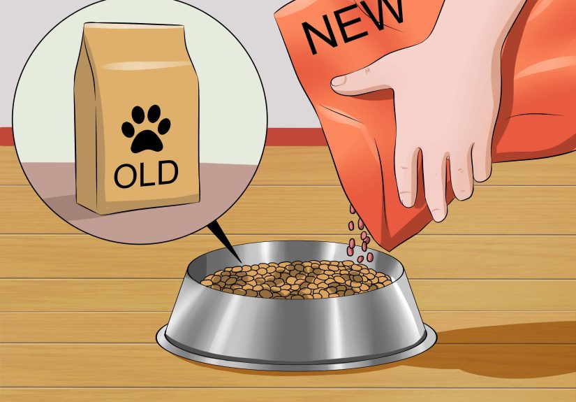 3 Ways to Prevent a Dog from Defecating in its Crate