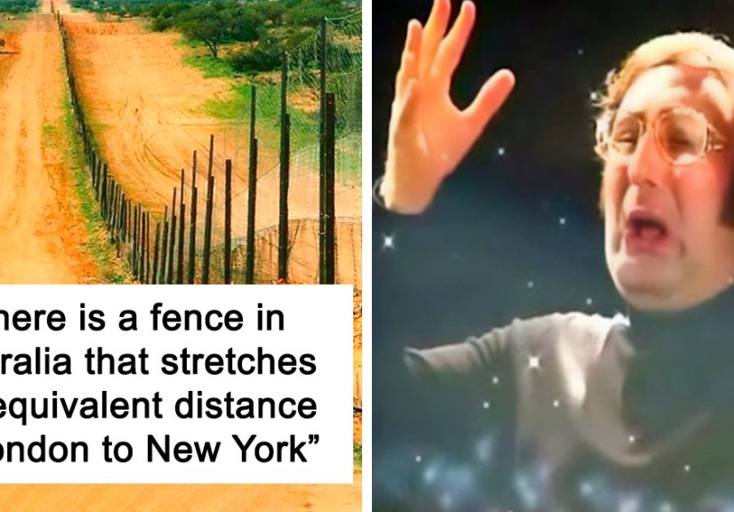 50 ‘Weird Facts’ About The World That Might Give You A Fresh Perspective