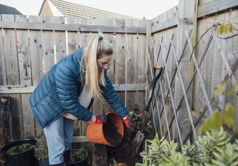 7 Winter Gardening Chores to Do Right Now