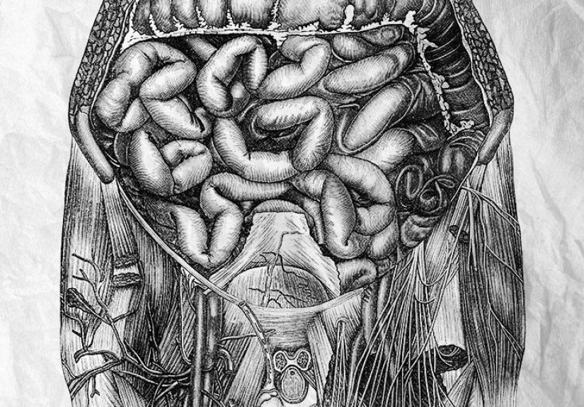 Anal cancer vs. rectal cancer: Differences, causes, and more