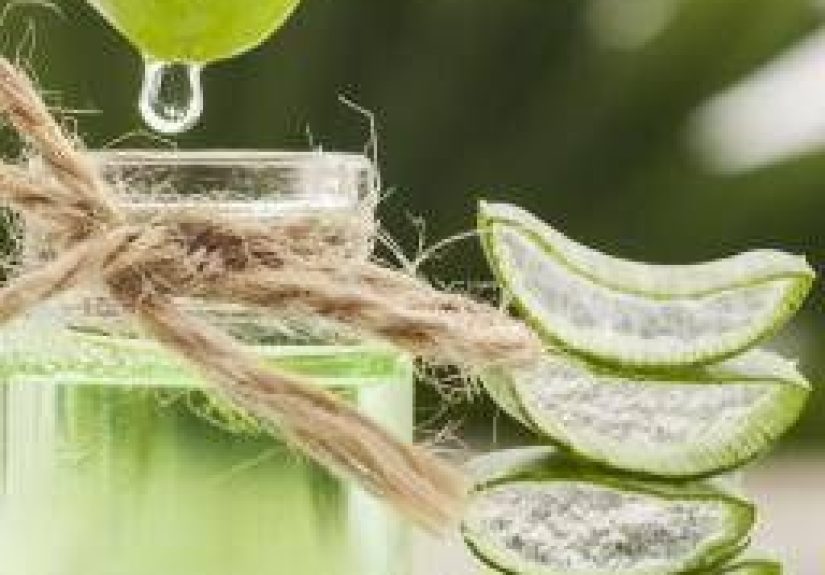 Benefits of Aloe Vera for Hair