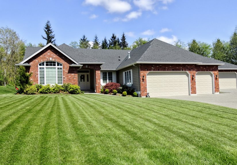 Does Liquid Lawn Aerator Actually Work? - Bob Vila