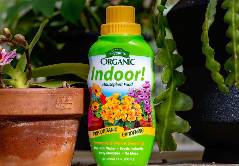 Espoma Organic Indoor Plant Fertilizer Review: Does it Work? Tested by Bob Vila