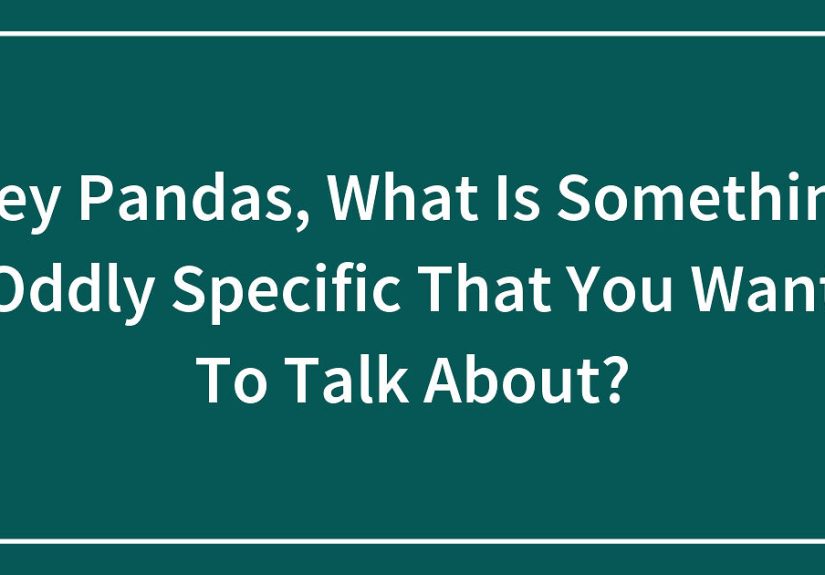 Hey Pandas, What Is Something Oddly Specific That You Want To Talk About? (Closed)