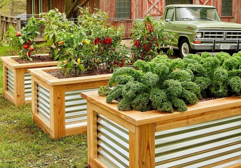How to Build Raised Garden Beds (DIY)