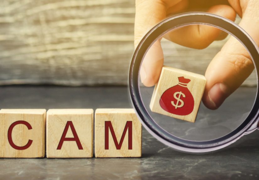 How to Spot Government Imposters