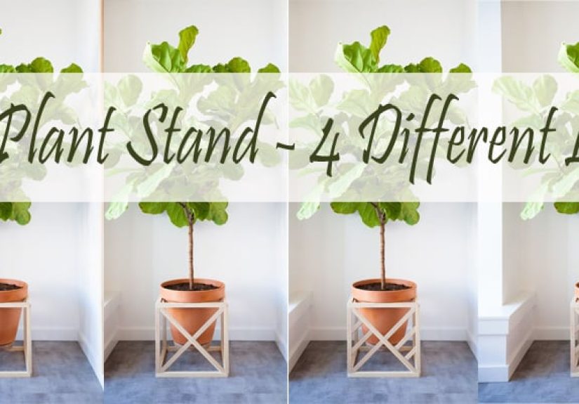 Modern Cube Plant Stand With Optional Fretwork