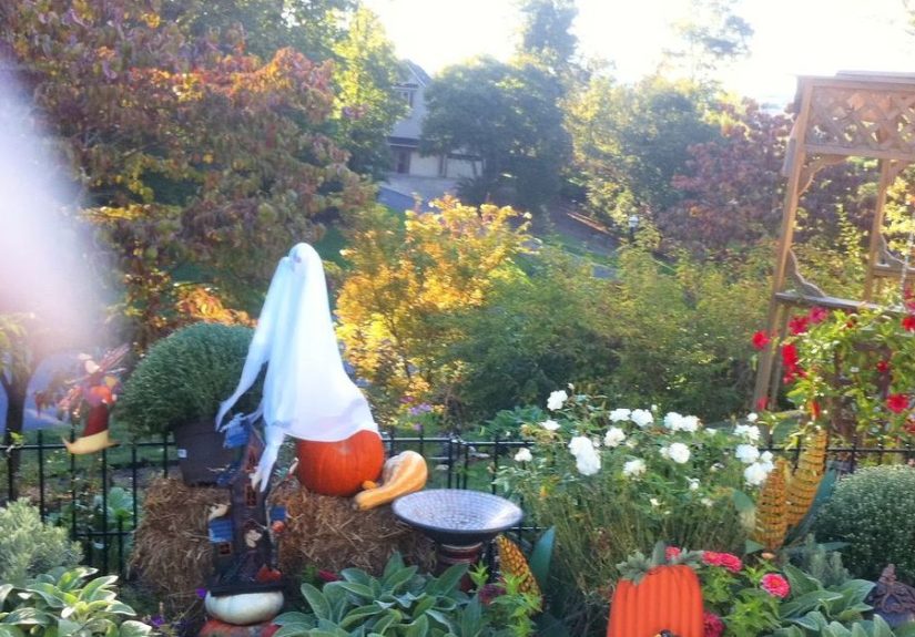 My Halloween Garden