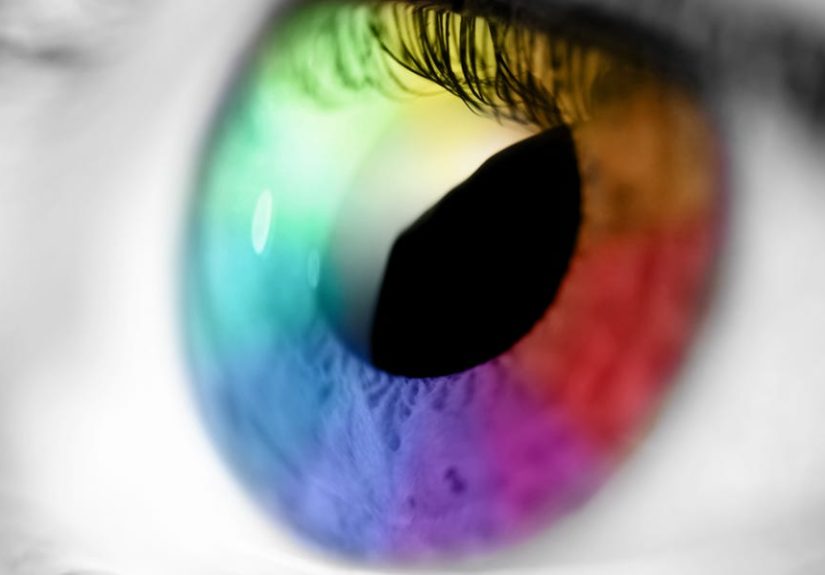 Scientists Find the Switch That Could Bring Back Your Eyesight
