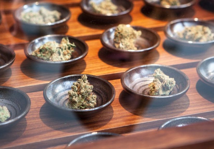Synthetic Cannabis Poisonings Drop In States Where Cannabis Is Legal
