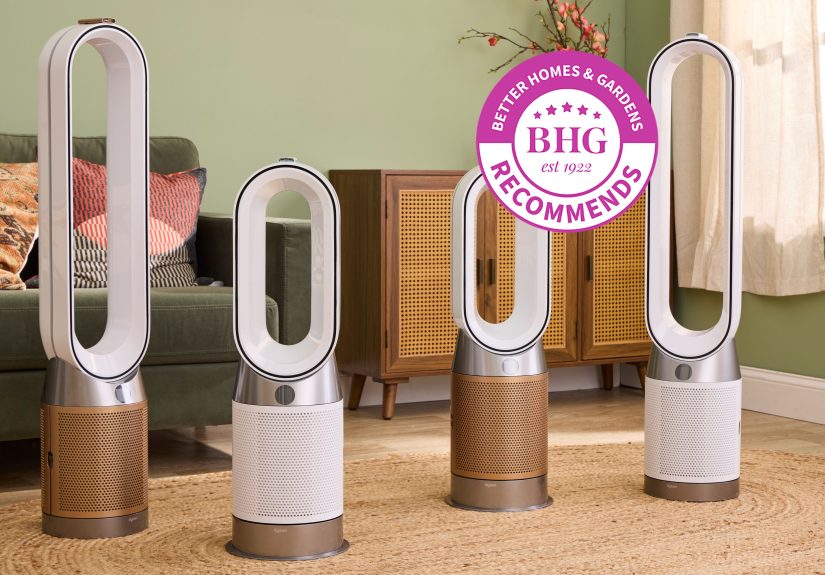 The 5 Best Dyson Air Purifiers of 2025, Tested by BHG