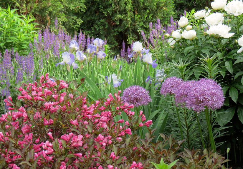 Visiting the Better Homes & Gardens Test Garden®