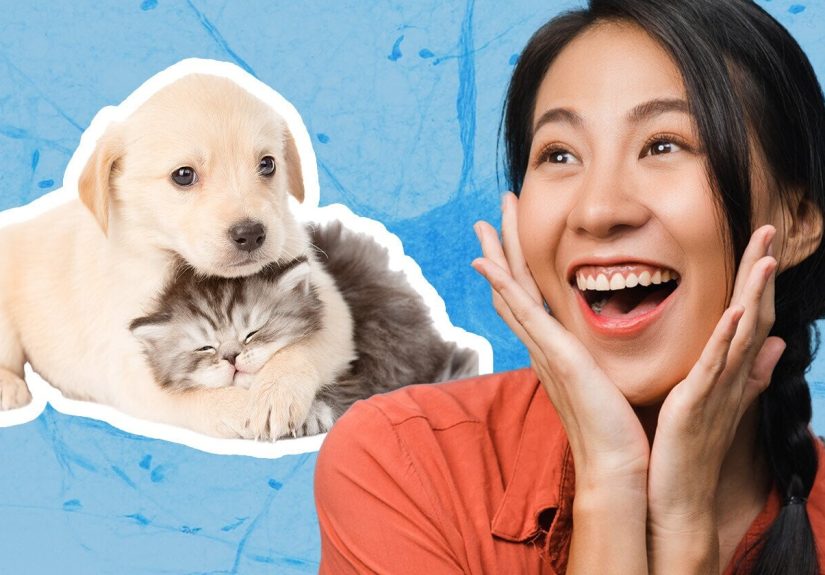 You Really Do Get Warm and Fuzzy, and Other Scientifically Accurate Clichés