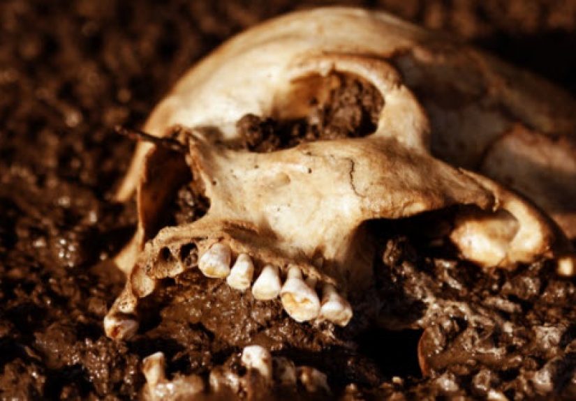 10 Early Forensic Techniques That Solved Murders