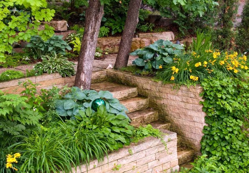 10 Small Plants for Landscaping