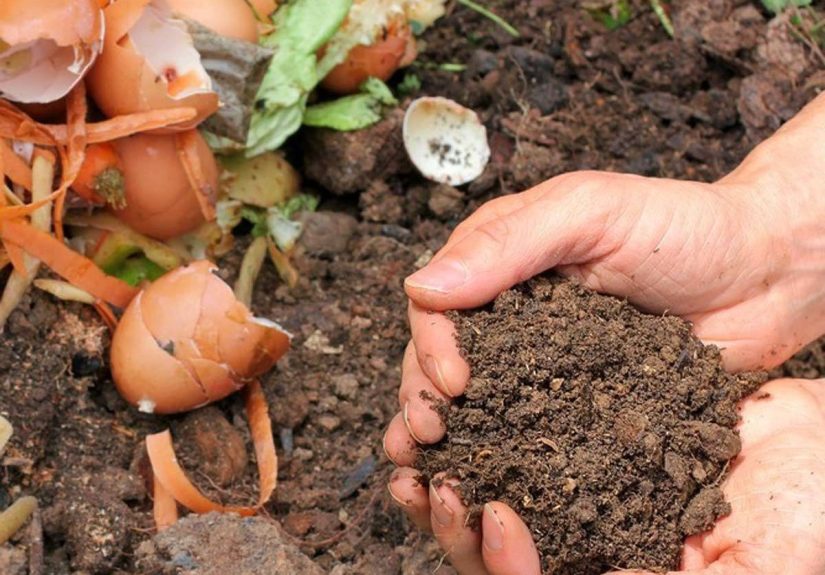 10 Tips for Winter Composting  The Family Handyman