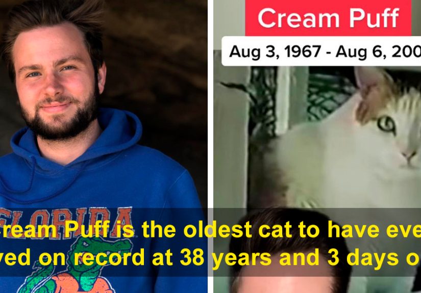 35 Facts That May Mess With Your Chronological Understanding Of Things, As Shared By This Guy