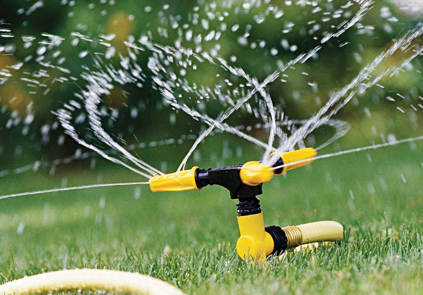 6 Beginner Lawn Care Mistakes to Avoid