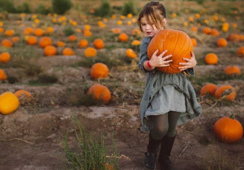 9 Impressive Health Benefits of Pumpkin