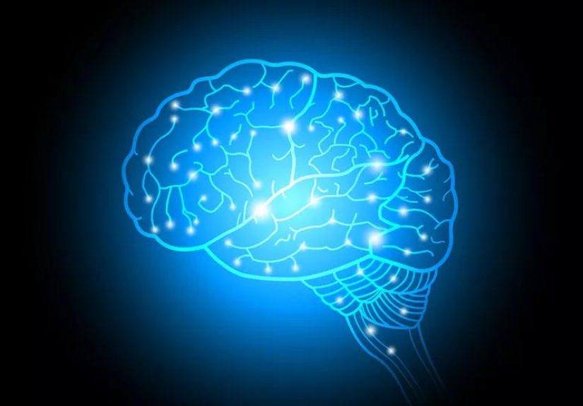 Amazing Facts You Didn’t Know About Your Brain