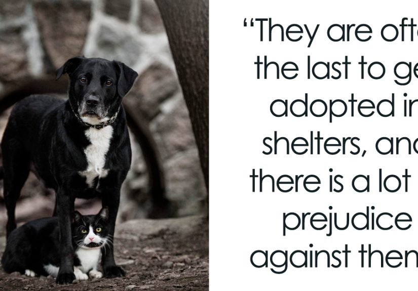 Black Animals Get A Lot Of Bad Rep And Are Often Last To Get Adopted, So My Photo Project Showcases How Awesome They Are (27 Pics)
