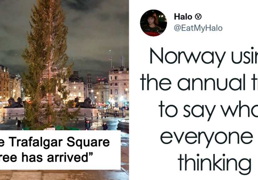 Brits Can’t Contain Their Laughter After Norway Sent Them Their Special Christmas Tree (24 Reactions)