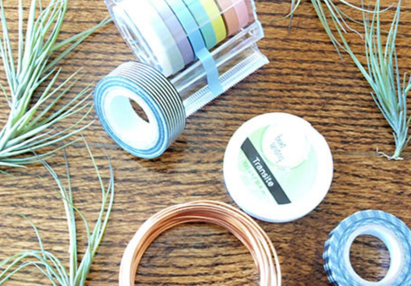 DIY Washi Tape Air Plant Holders