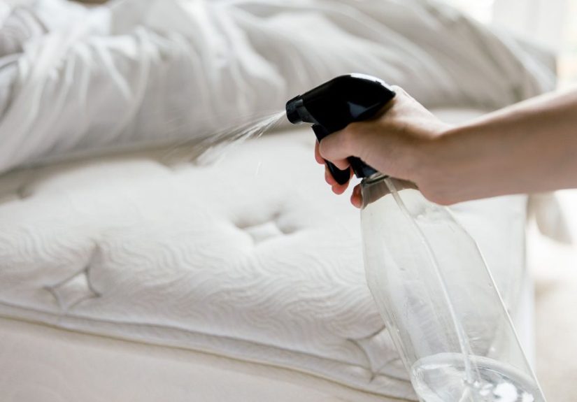 Does Rubbing Alcohol Kill Bed Bugs? Pros Share How to Get Rid of These Pests
