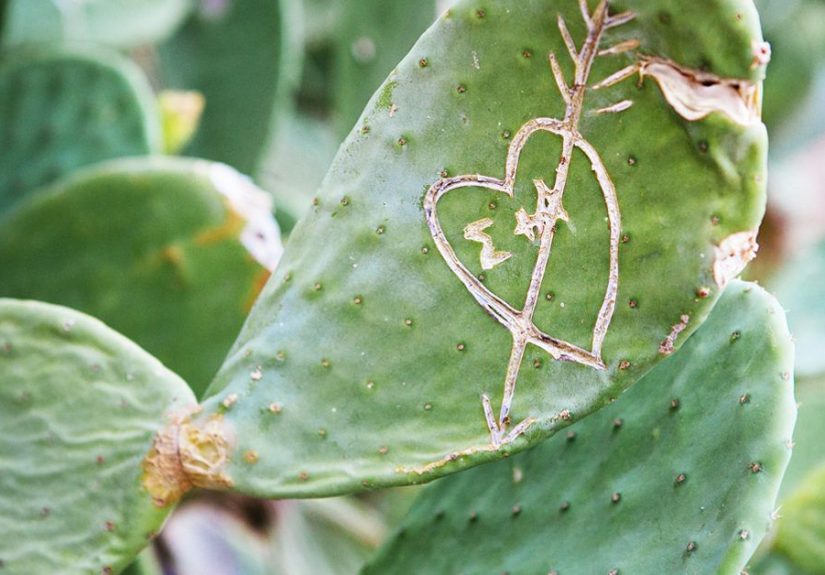 Dry Sex Isn’t Always Dry Humping: 9 FAQs, Safety Concerns, and More