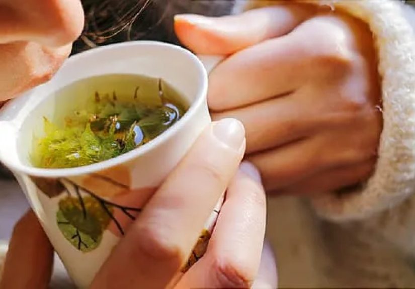 Gallery of Herbal Teas: Types and Benefits of Herbal Teas