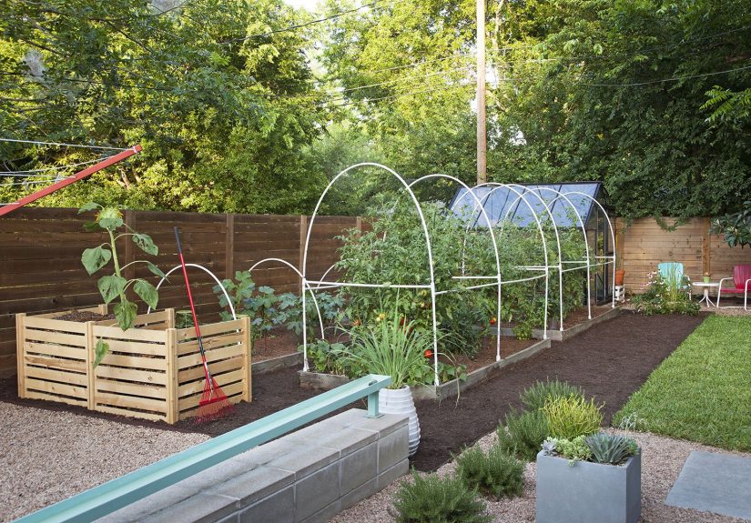 Grow Perfect Tomatoes with This PVC Trellis