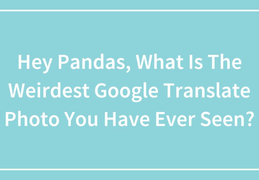 Hey Pandas, What Is The Weirdest Google Translate Photo You Have Ever Seen?