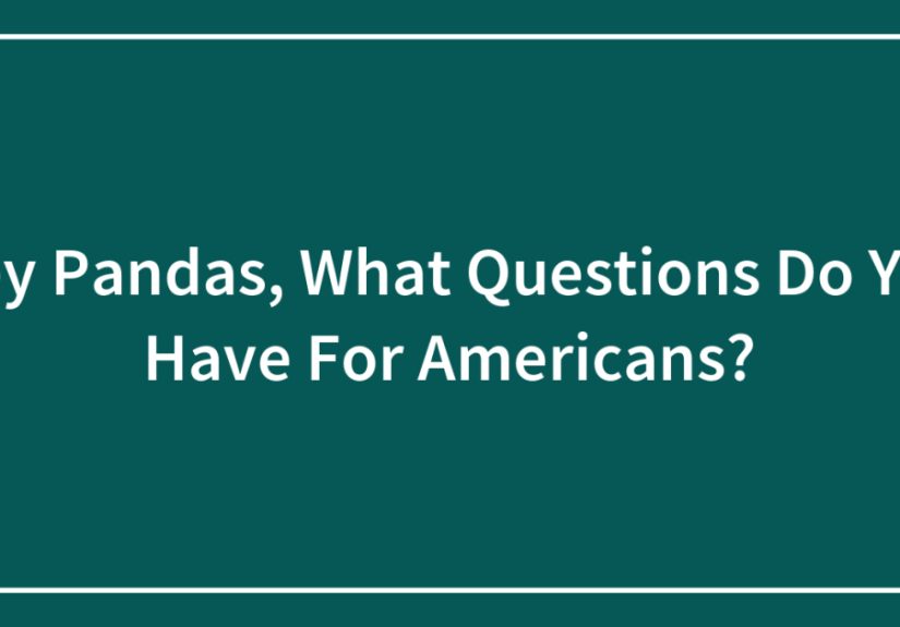 Hey Pandas, What Questions Do You Have For Americans? (Closed)