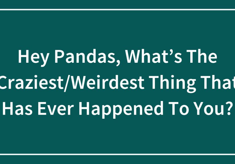 Hey Pandas, What’s The Craziest/Weirdest Thing That Has Ever Happened To You?