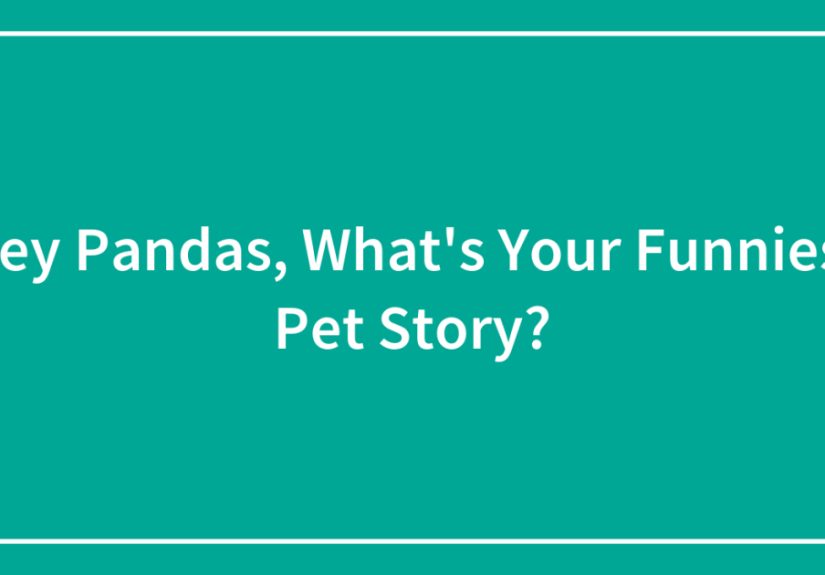 Hey Pandas, What’s Your Funniest Pet Story?