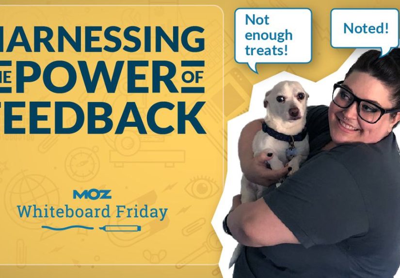 How to Elevate Your Content With Customer Feedback Loops  Whiteboard Friday - Moz