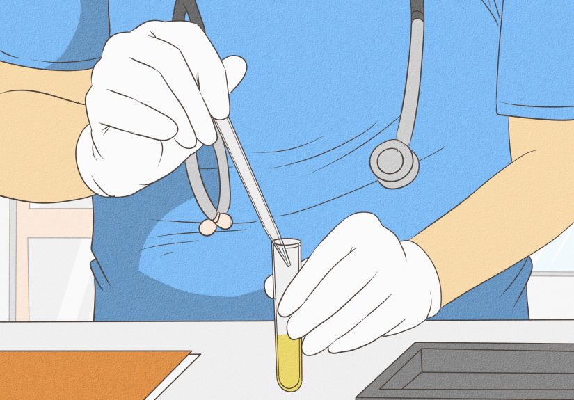 How to Lower the pH of Cat Urine When It's Too Alkaline