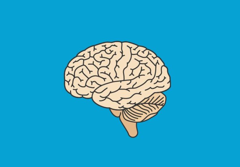 Hypothalamus: Function, Hormones, and More
