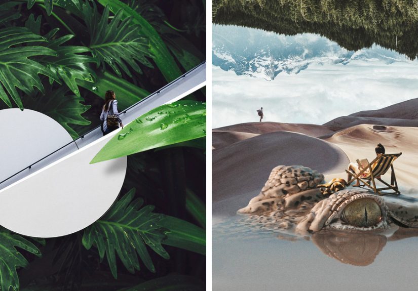I Create Surreal Collages That Blur The Line Between Reality And Nature (28 Pics)
