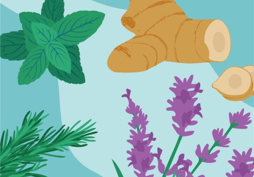 Migraine Herbal Remedies: Peppermint, Ginger, and More