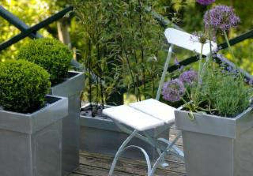 Small Contemporary Garden
