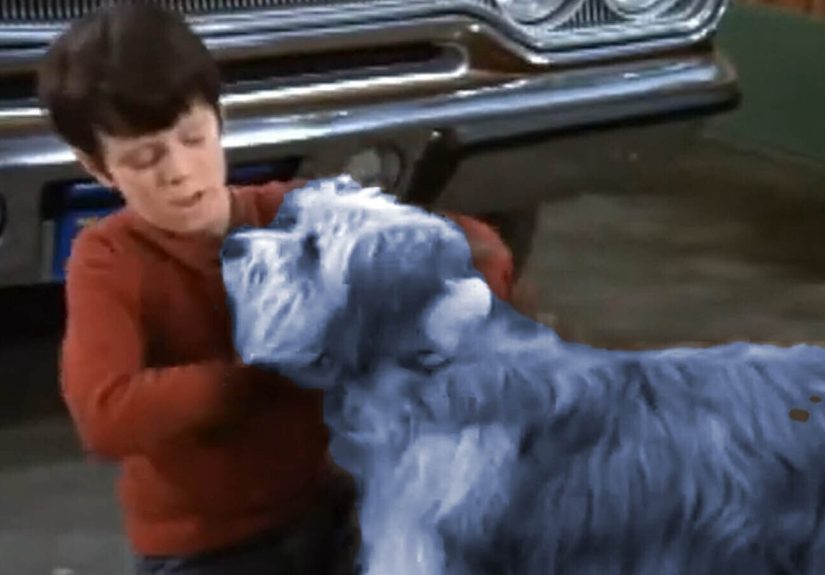 The Tragic Fate of ‘The Brady Bunch’ Dog