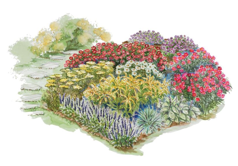 This Fabulous Fall Garden Plan Brims with Late-Blooming Flowers