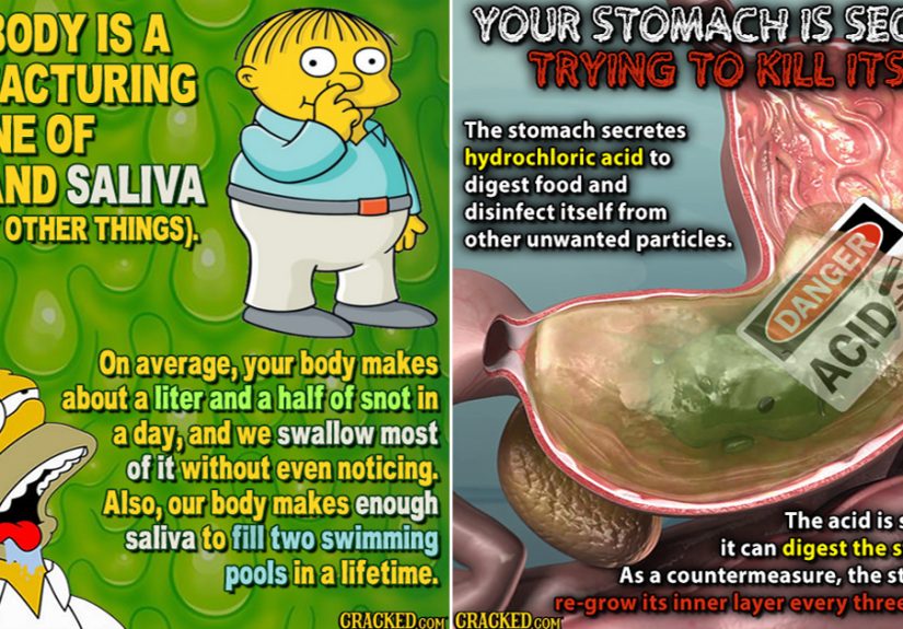 14 Fascinating, Super-Disturbing Facts About The Human Body