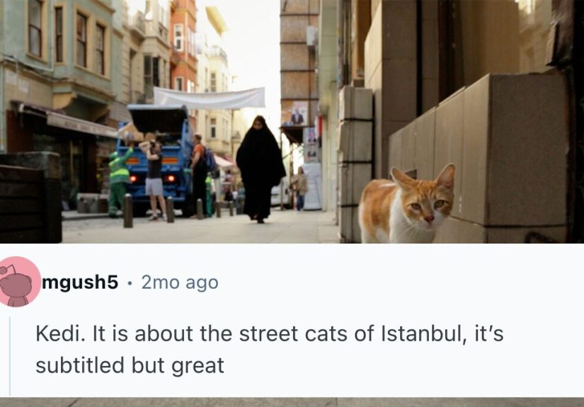 23 Documentaries That Are Both Feel Good And Good