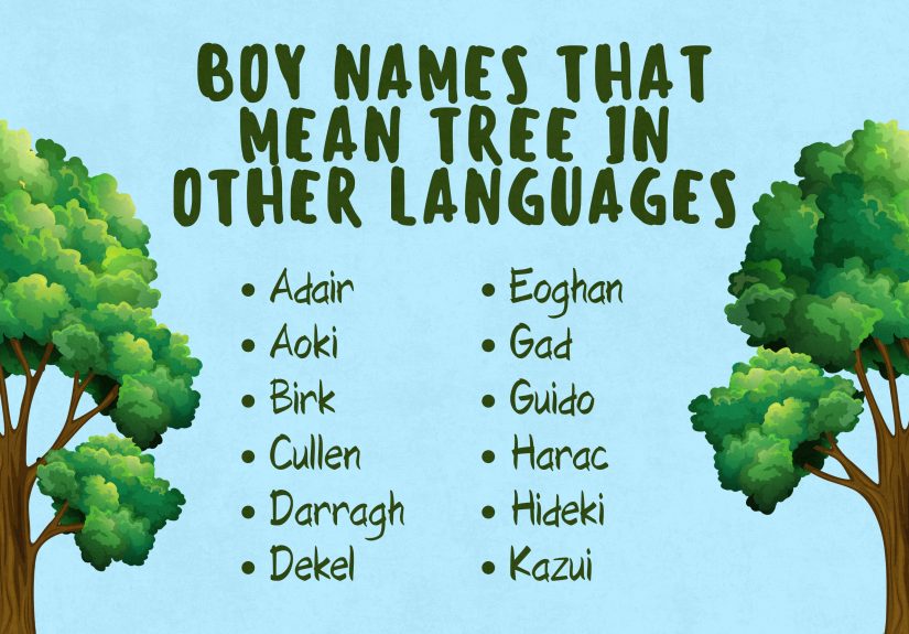 25 Nature-Inspired Tree Names for Boys (With Meanings)