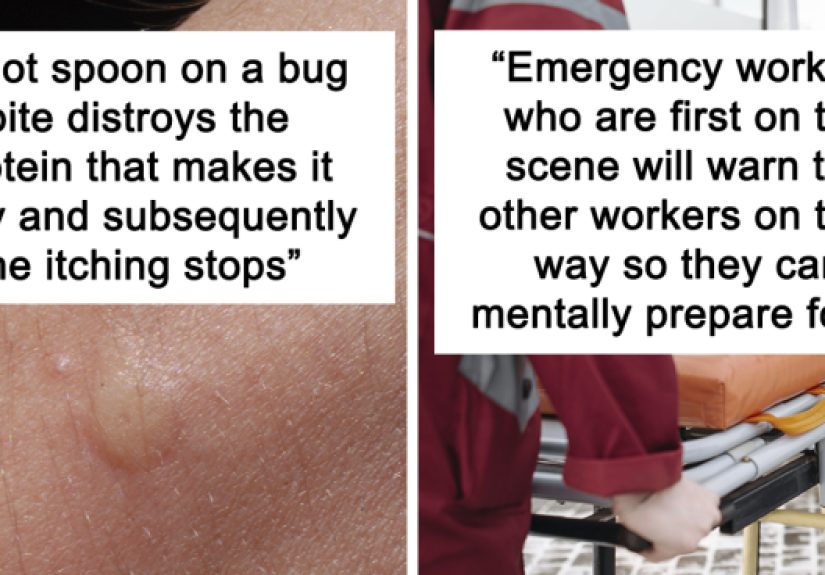 30 People Share Quirky Facts They Think Everyone Should Be Aware Of
