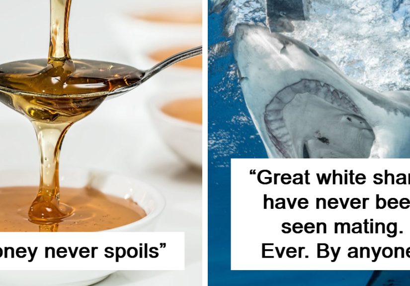 30 Unusual Facts No One Really Asked For, But Are Pretty Cool To Know